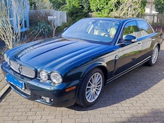 Bild des Angebotes Jaguar XJ6 XJ6+2.7+Twin+Turbo+Diesel+Executive