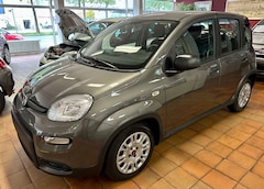Bild des Angebotes Fiat Panda 1.0 GSE Hybrid 5 stück