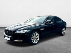 Bild des Angebotes Jaguar XF 30d Prestige Bi-Xenon Rückfahrkamera