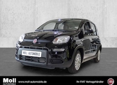 Bild des Angebotes Fiat Panda Mild Hybrid City Paket  Cinema Schwarz