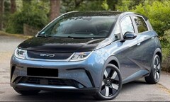 Bild des Angebotes BYD Dolphin Design