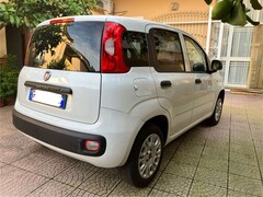 Bild des Angebotes Fiat Panda 1.2 L easypower Gpl 69cv my19