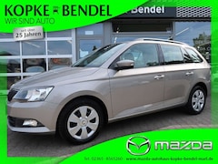 Bild des Angebotes Skoda Fabia Combi 1.0 TSI Ambition Green tec *Extras*TOP* Fabi