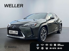 Bild des Angebotes Lexus UX 250h Style Edition *Bi-LED*AHK*CAM*ACC*SHZ*PDC*