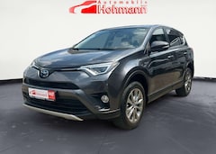 Toyota RAV 4 4 Team D AHK+KAMERA+SPUR+ACC+LENKRADHZ