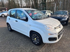 Bild des Angebotes Fiat Panda Young KLIMA NUR:85.000 KM