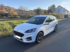 Bild des Angebotes Ford Kuga Kuga 2.5 Duratec FHEV ST-LINE