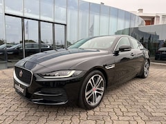 Bild des Angebotes Jaguar XE P250 S|Leder Beige|Winter-Paket|Ambiente