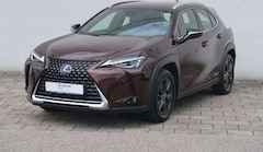 Bild des Angebotes Lexus UX 250h Launch Edition