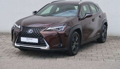 Bild des Angebotes Lexus UX 250h Launch Edition
