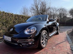 Bild des Angebotes VW Beetle The Beetle Cabriolet 1.2 TSI (BlueMotionTech)Sound