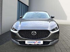 Bild des Angebotes Mazda CX-30 Homura 2.5L e-SKYACTIV G 140 CX-30 Homura 2.5L e-S