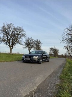 Bild des Angebotes Audi A5 3.0 TDI DPF quattro
