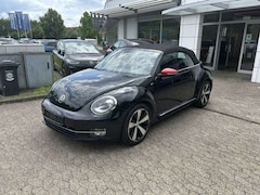 Bild des Angebotes VW Beetle Cabriolet Club
