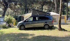Bild des Angebotes Mercedes-Benz Marco Polo V300 AMG Edition Allrad Airmatic Distronic 360°