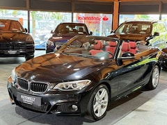 Bild des Angebotes BMW 230 i Cabrio M-Sportpaket