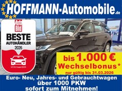 Bild des Angebotes Skoda Kodiaq Style App-Connect,Sitzheizung,PDC,19 Zoll
