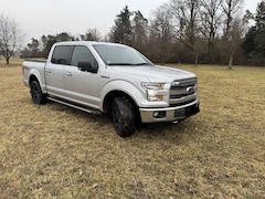 Bild des Angebotes Ford F 150 Mit Prins Gasanlage