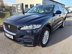Bild des Angebotes Jaguar F-Pace F-PACE Ingenium Edition AWD R.Camera/Leder/AHK