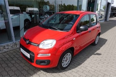 Bild des Angebotes Fiat Panda 1.2 8V Easy