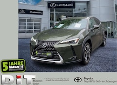 Bild des Angebotes Lexus UX 250h UX 250 h Style Edition 2xKlima ACC AUT Kam.