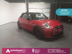Bild des Angebotes MINI Cooper Cabrio Cabrio Cooper Classic Trim|LED|Navi|Sitzhz|PDC