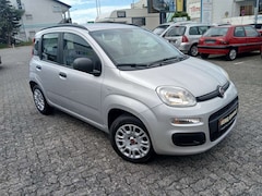 Bild des Angebotes Fiat Panda My Panda ! TOP - WENIG KM - SCHKHFT !