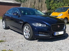 Bild des Angebotes Jaguar XF 25t Prestige | ab 4,99% | Garantie | 2.Hand |