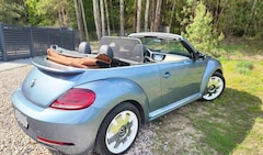 VW Beetle Final Edition SEL