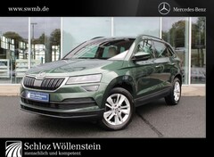 Bild des Angebotes Skoda Karoq 2.0 TDI 4x4 Style LED/AHK/ACC/Business/Cam