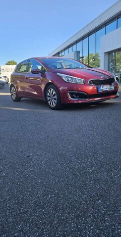Bild des Angebotes Kia Ceed / cee'd 1.6 GDI Edition 7