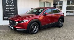 Bild des Angebotes Mazda CX-30 Selection LED 360° SHZ CarPlay Navi