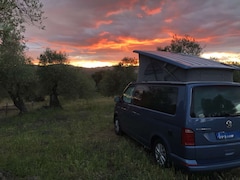 Bild des Angebotes VW T6 California California Beach