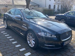 Bild des Angebotes Jaguar XJ XJ 3.0 V6 Diesel S Premium Luxury