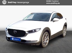 Bild des Angebotes Mazda CX-30 e-SKYACTIVE X 186 SKYACTIV-Drive EXCLUSIVE-L