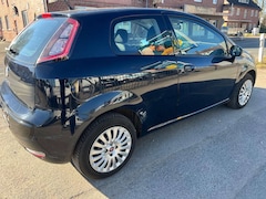 Bild des Angebotes Fiat Punto Evo 1.2 8V 1 Hand, Oma Fahrzeug tüv neu