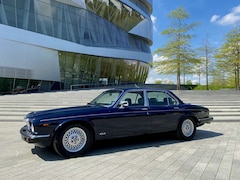 Bild des Angebotes Jaguar XJ12