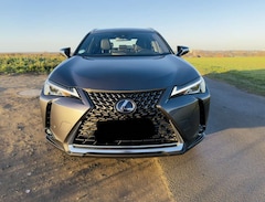Bild des Angebotes Lexus UX 300e AHK für Fahrradträger