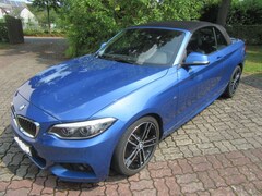 Bild des Angebotes BMW 230 230i Cabrio Aut. M Sport
