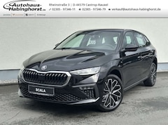 Skoda Scala 1.0 TSI DSG Tour AHK ACC SmartLink Matrix 17Alu