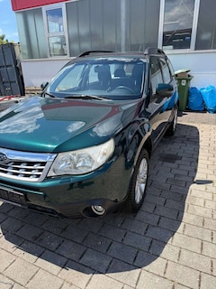 Subaru Forester Forester 2.0X Automatik Comfort