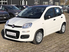 Bild des Angebotes Fiat Panda MY25 1.0 Klima PDC Citypaket