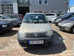 Bild des Angebotes Fiat Panda 1.2 8V Dynamic Klima teilb.Rücksb CD met. eFH Radi