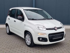 Bild des Angebotes Fiat New Panda 1.2 8V*1.Hand*Klima*Zahnr. Gewechselt