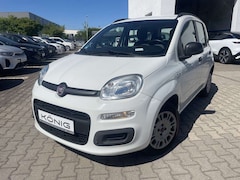 Bild des Angebotes Fiat Panda Pop PDC*KLIMA*SHZ*Radio