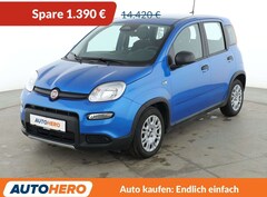 Bild des Angebotes Fiat Panda 1.0 Mild-Hybrid Pandina Cross*TEMPO*PDC*KLIMA*