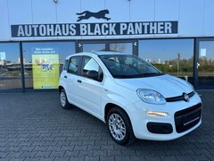 Bild des Angebotes Fiat Panda Easy Modell 2020 Klima 1Hand Scheckh.kompl