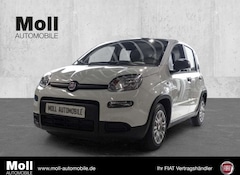 Bild des Angebotes Fiat Panda Mild Hybrid City Paket Gelato Weiß