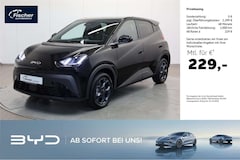 Bild des Angebotes BYD Dolphin Elektro Comfort