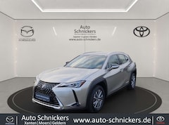 Bild des Angebotes Lexus UX 300e +KAMERA+ACC+GJ-RÄDER !!